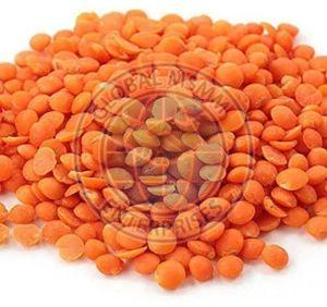 Red Masoor Dal