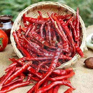 Stemless Dried Red Chilli