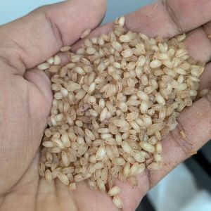Full Polished Matta Rice