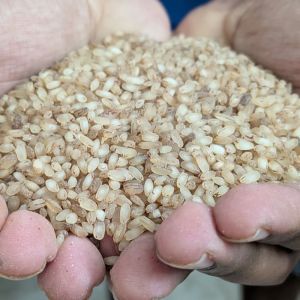 Half Polished Matta Rice