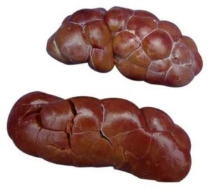 Frozen Buffalo Kidney
