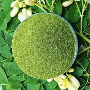Moringa Premium Powder