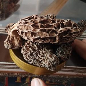 Dried Kashmiri Gucchi Mushroom