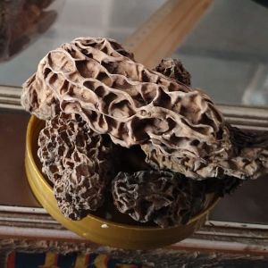 Dried Kashmiri Gucchi Mushroom