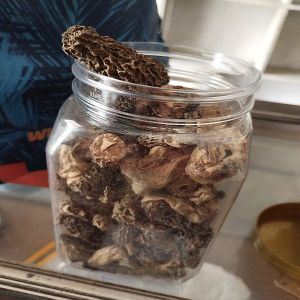 Dried Kashmiri Morel Mushroom