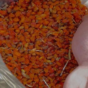 Dried Sea Buckthorn Berry