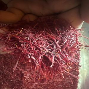 Kashmir Mongra Saffron