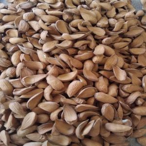 Kashmiri Curved Mamra Almond Nuts