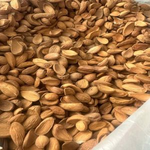 Kashmiri Curved Mamra Almond Nuts