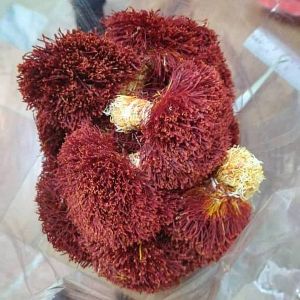 Kashmiri Guchhi Saffron