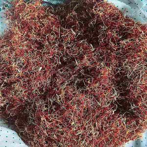 Kashmiri Lacha Saffron