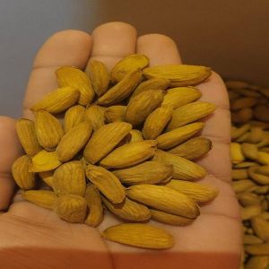 Plain Kashmiri Mamra Almond Nuts