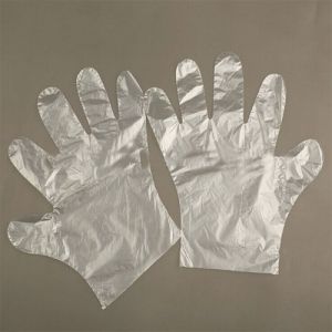 Disposable Plastic Hand Glove