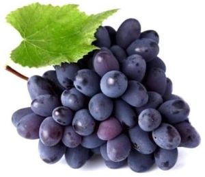 Seedless Black Grapes