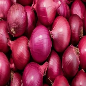 A Grade Fresh Nashik Red Onion
