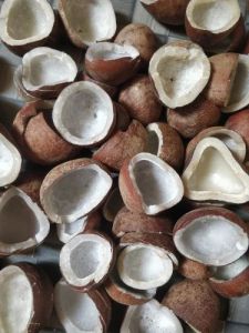 Dried Coconut Copra