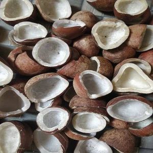 Dried Coconut Copra