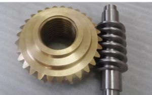 Industrial Worm Wheel Set