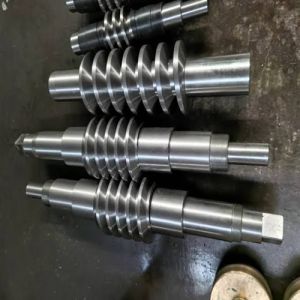 Precision Worm Shaft