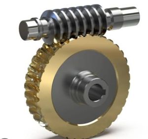 Precision Worm Gear Drive Set