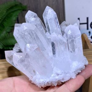 Quartz Crystal Cluster