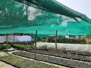 65% Green Agricultural Shade Net