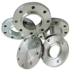 SS 310 Flanges