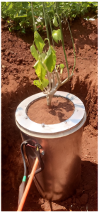 Temperature Integrated Advanced Lysimeter