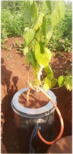 Water Level Meter Model 101