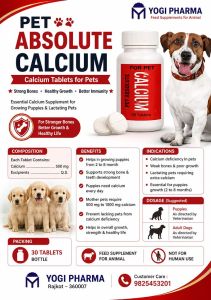 Absolute Calcium Tablet