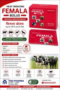 Heat Inducing Femala Bolus