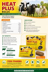 Heat Plus Bolus