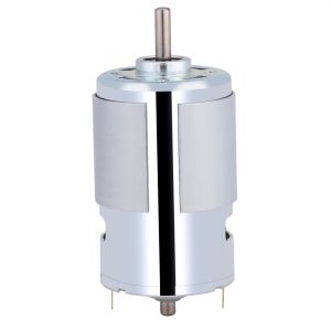 100W DC Gear Motor