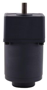 25W AC Gear Motor
