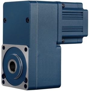 BLDC Gear Motor