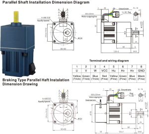 Brushless DC Gear Motor