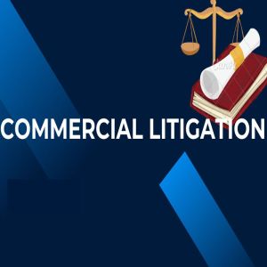 Commercial Litigation Services