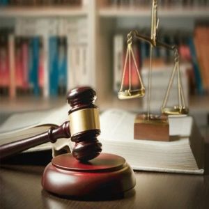 Corporate Litigation Services