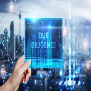 Property Due Diligence Services