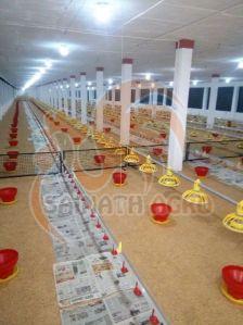 Auto Feeding System