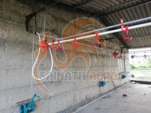 Broiler Drinking System