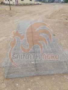 Female Poultry Cage