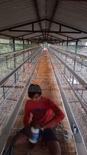 Poultry Layer Cages