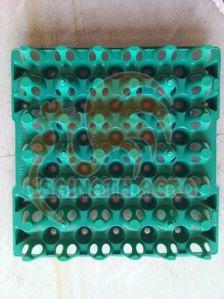 Plastic Egg Trays