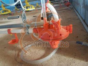 Poultry Drinking System