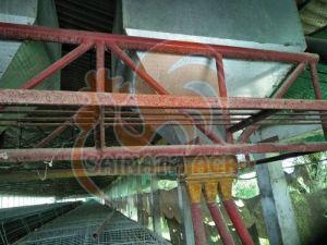 Poultry Feed Trolley System