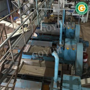 Sunflower Seed Oil Mill Plant
