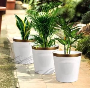 Decorative Indoor Planters