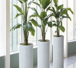 Decorative Planter
