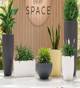 Office Indoor Planter